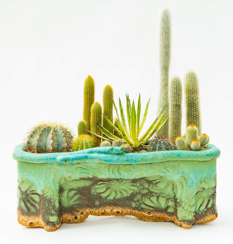 Artist made ceramic cacti planter by Rick Van Dyke