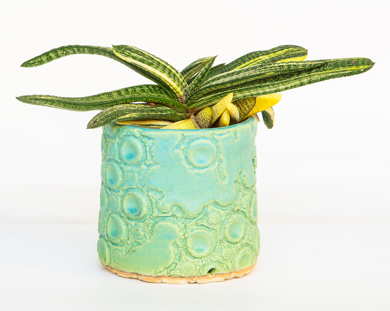 Artist made ceramic cacti planter by Rick Van Dyke