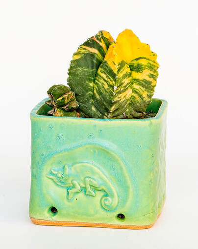 Handmade ceramic succulent planter by Rick Van Dyke