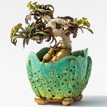 Handmade succulent planter